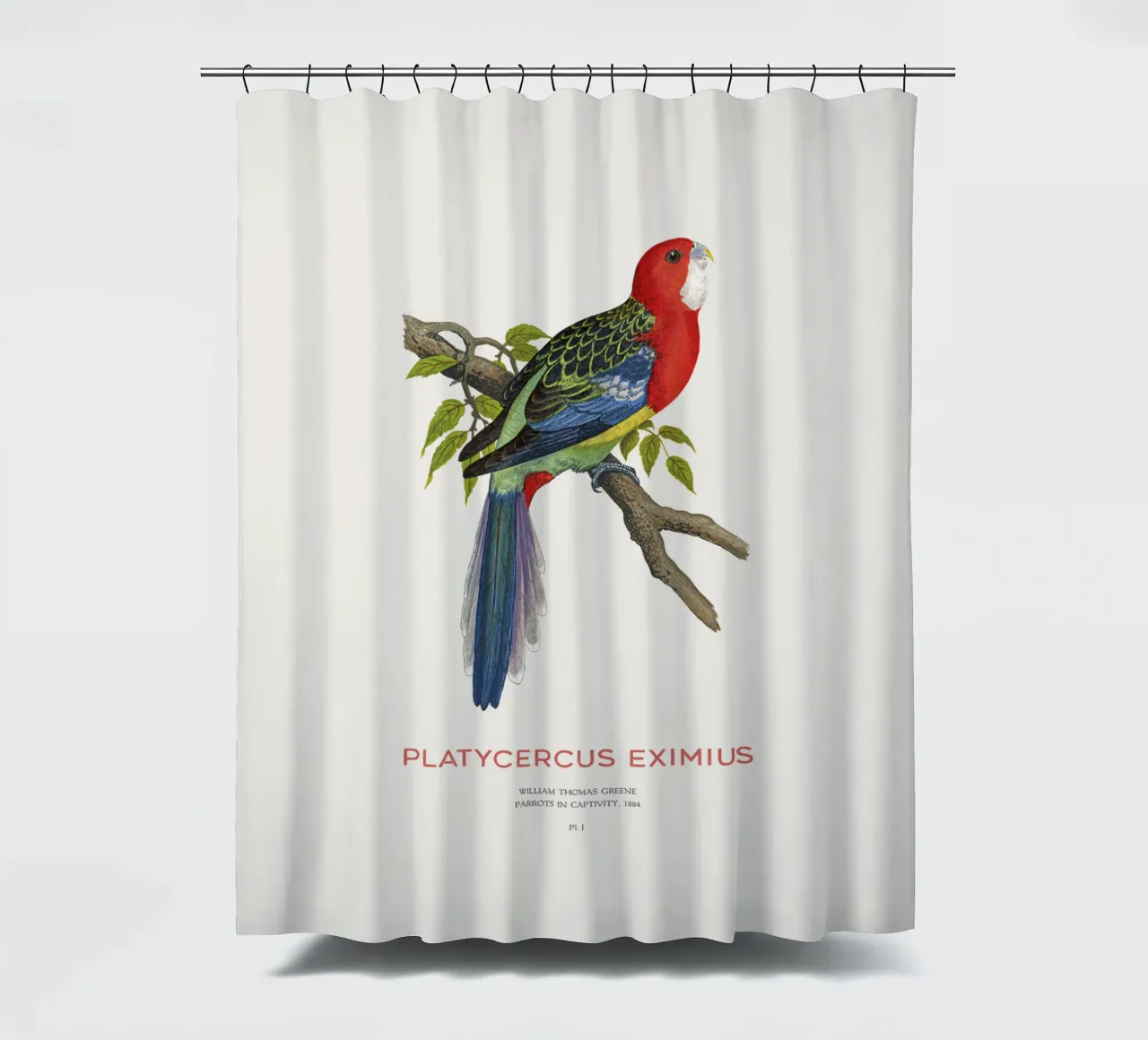 Östliche Rosella oder Platycercus eximius Duschvorhang von Vintagrafica