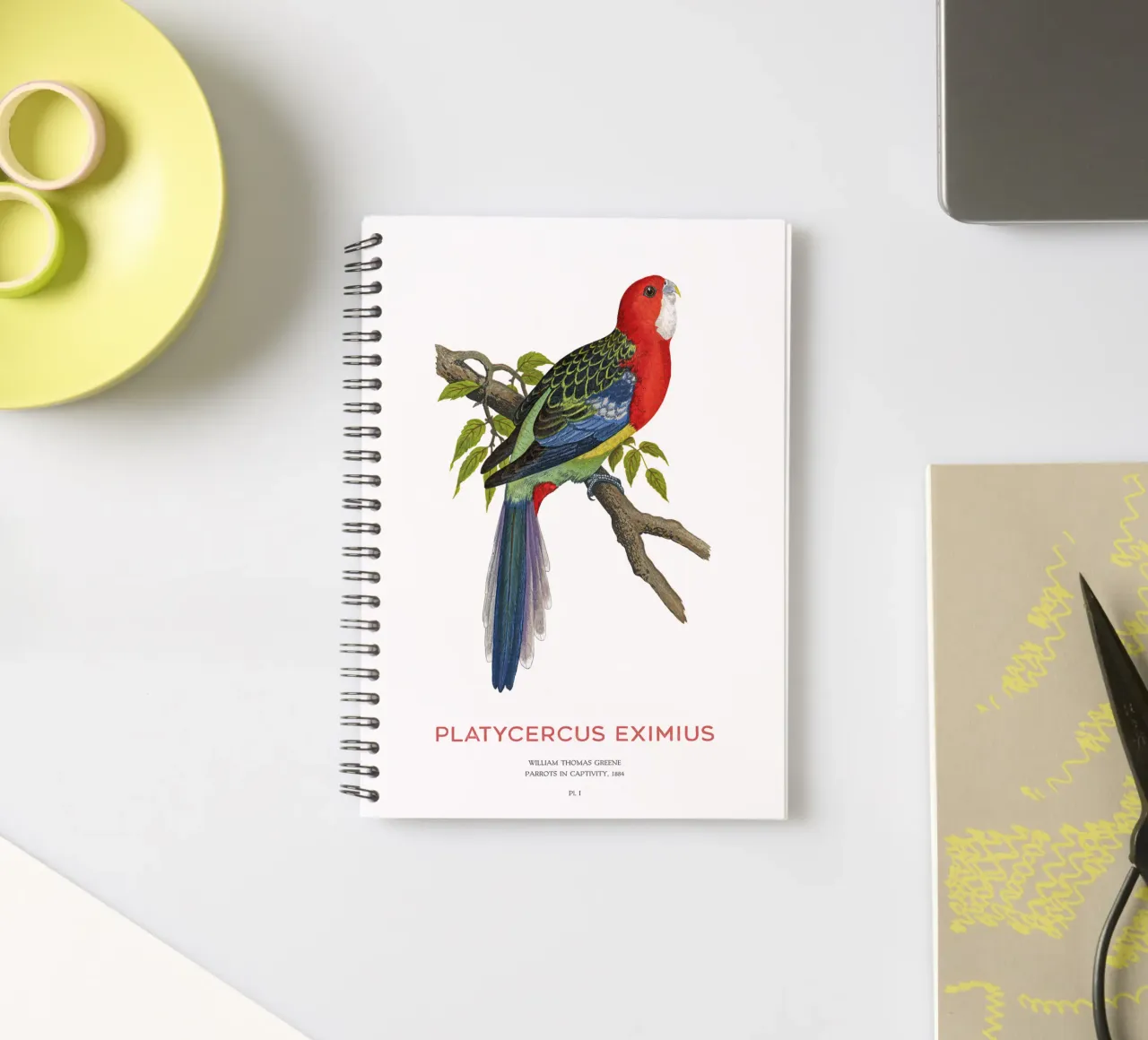 Eastern rosella or Platycercus eximius spiral notebook by Vintagrafica