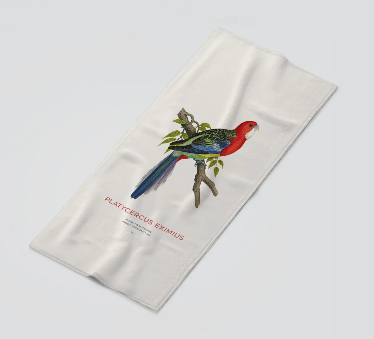 Rosella orientale o Platycercus eximius telo mare da Vintagrafica