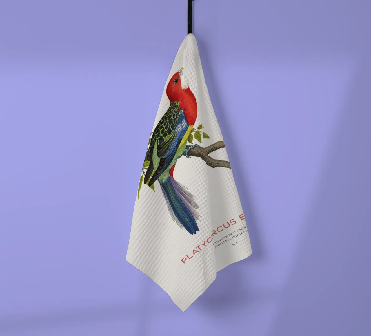 Rosella orientale o Platycercus eximius canovaccio da cucina da Vintagrafica