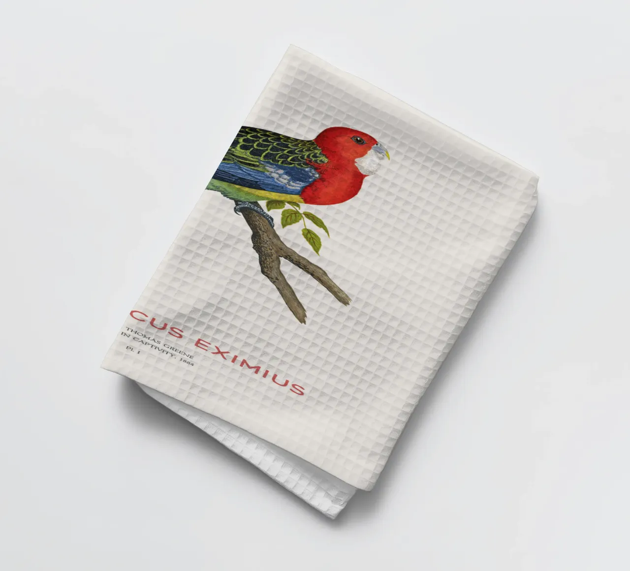 Rosella orientale o Platycercus eximius canovaccio da cucina da Vintagrafica