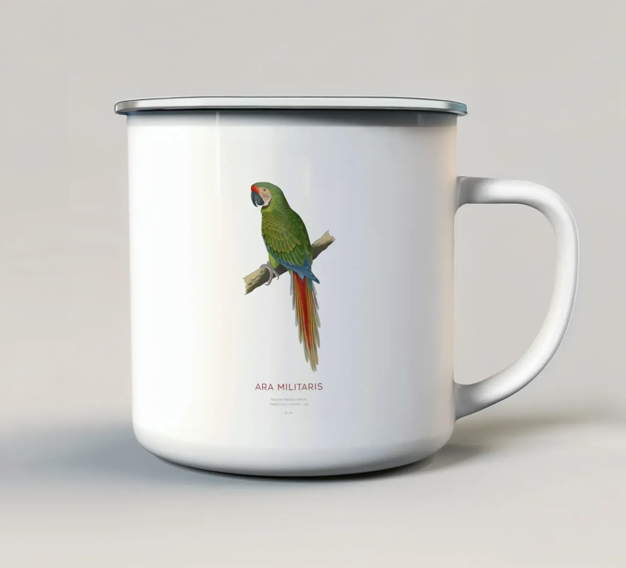 Ara militare o Ara militaris tazza in smalto da Vintagrafica