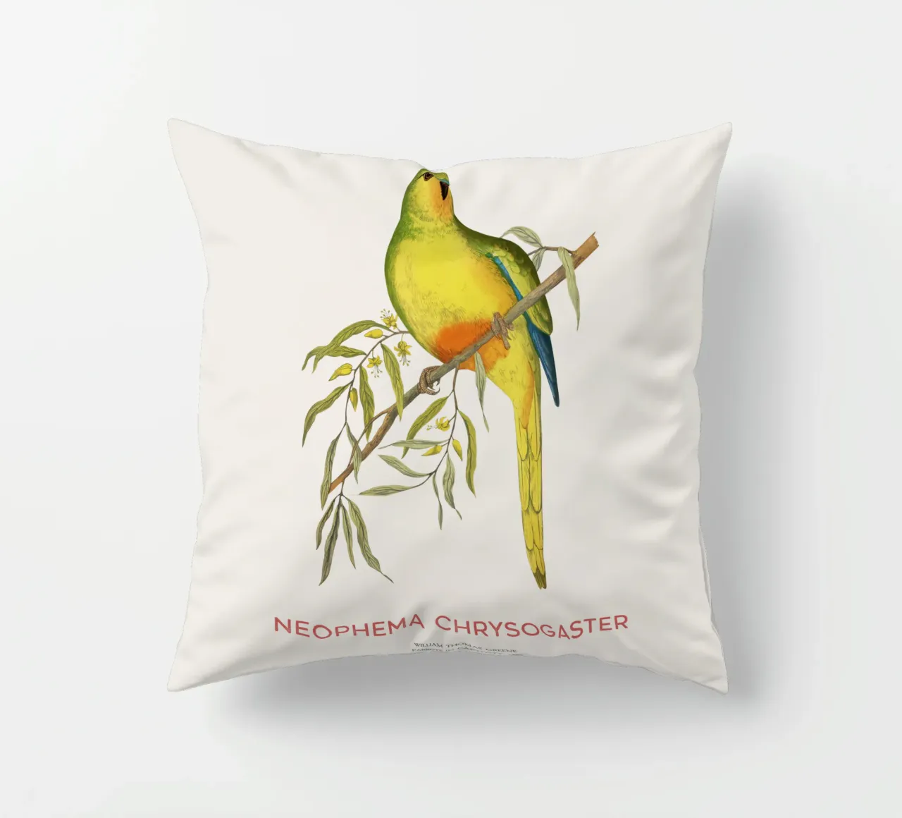 Pappagallo dal ventre arancione o Neophema chrysogaster cuscino da Vintagrafica