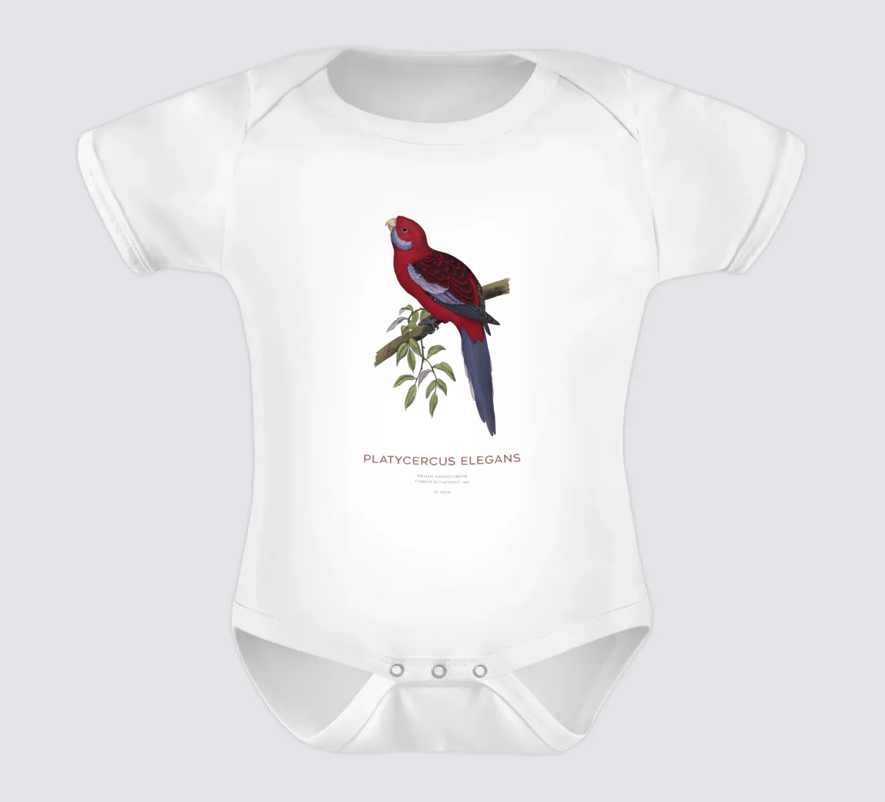 Rosella cremisi o Platycercus elegans body neonato maniche corte da Vintagrafica