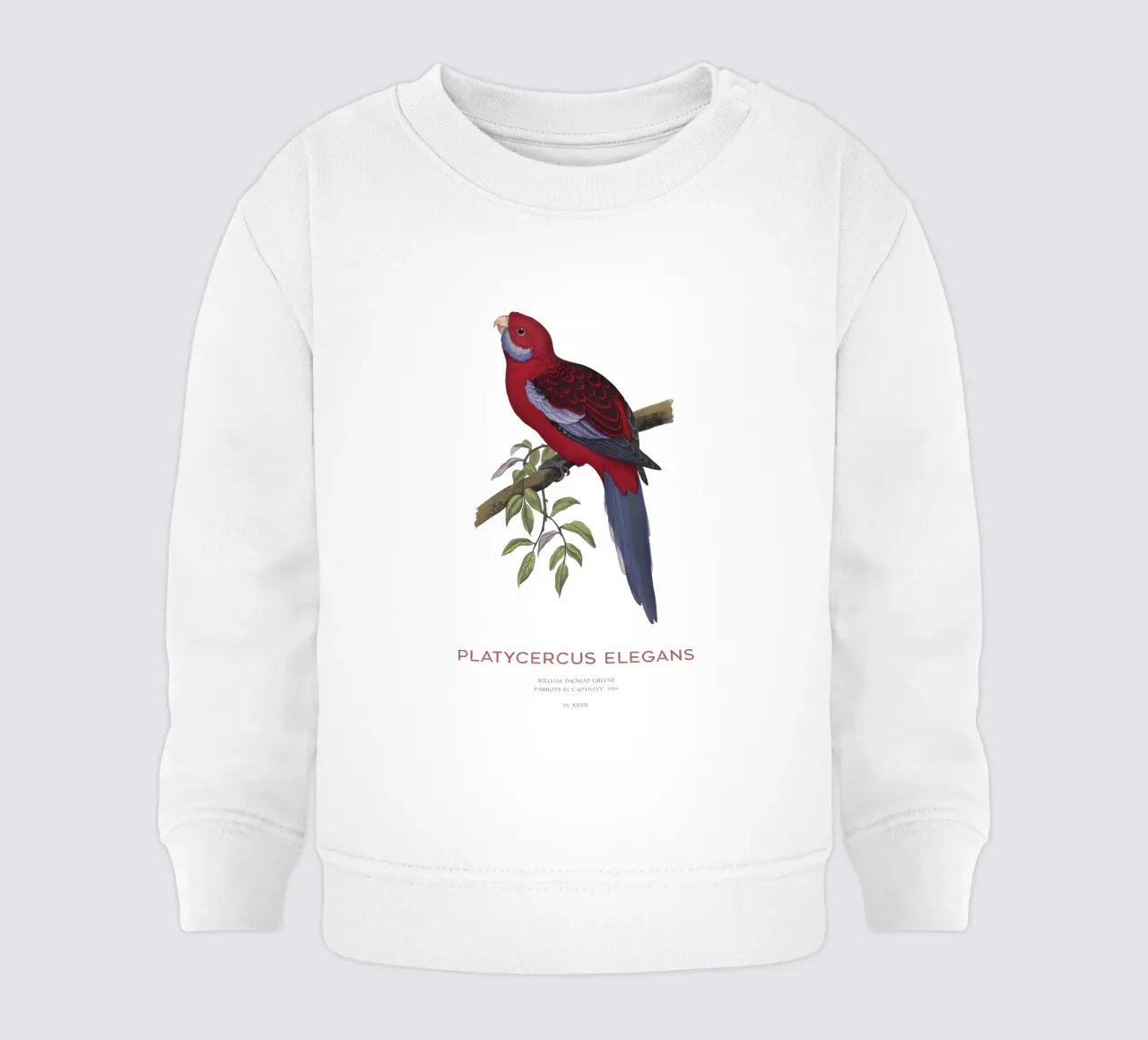 Rosella cremisi o Platycercus elegans felpa neonato da Vintagrafica
