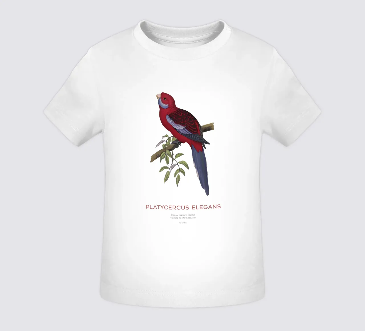 Rosella cremisi o Platycercus elegans maglietta neonato da Vintagrafica