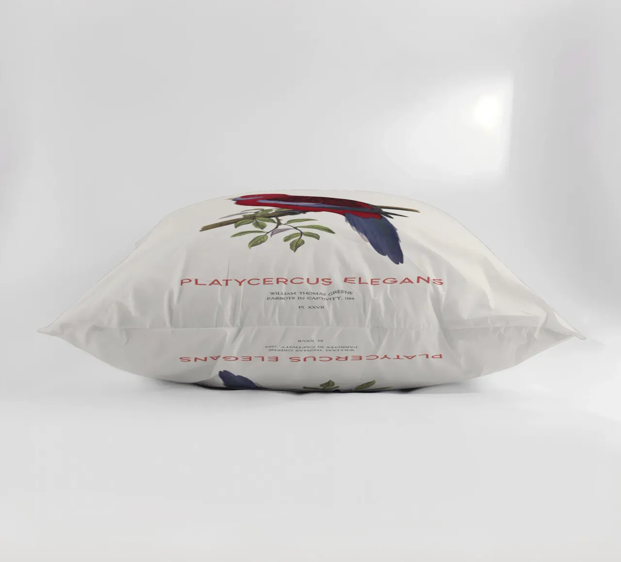 Rosella cremisi o Platycercus elegans cuscino da Vintagrafica
