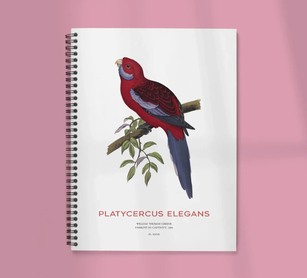 Crimson rosella or Platycercus elegans spiral notebook by Vintagrafica
