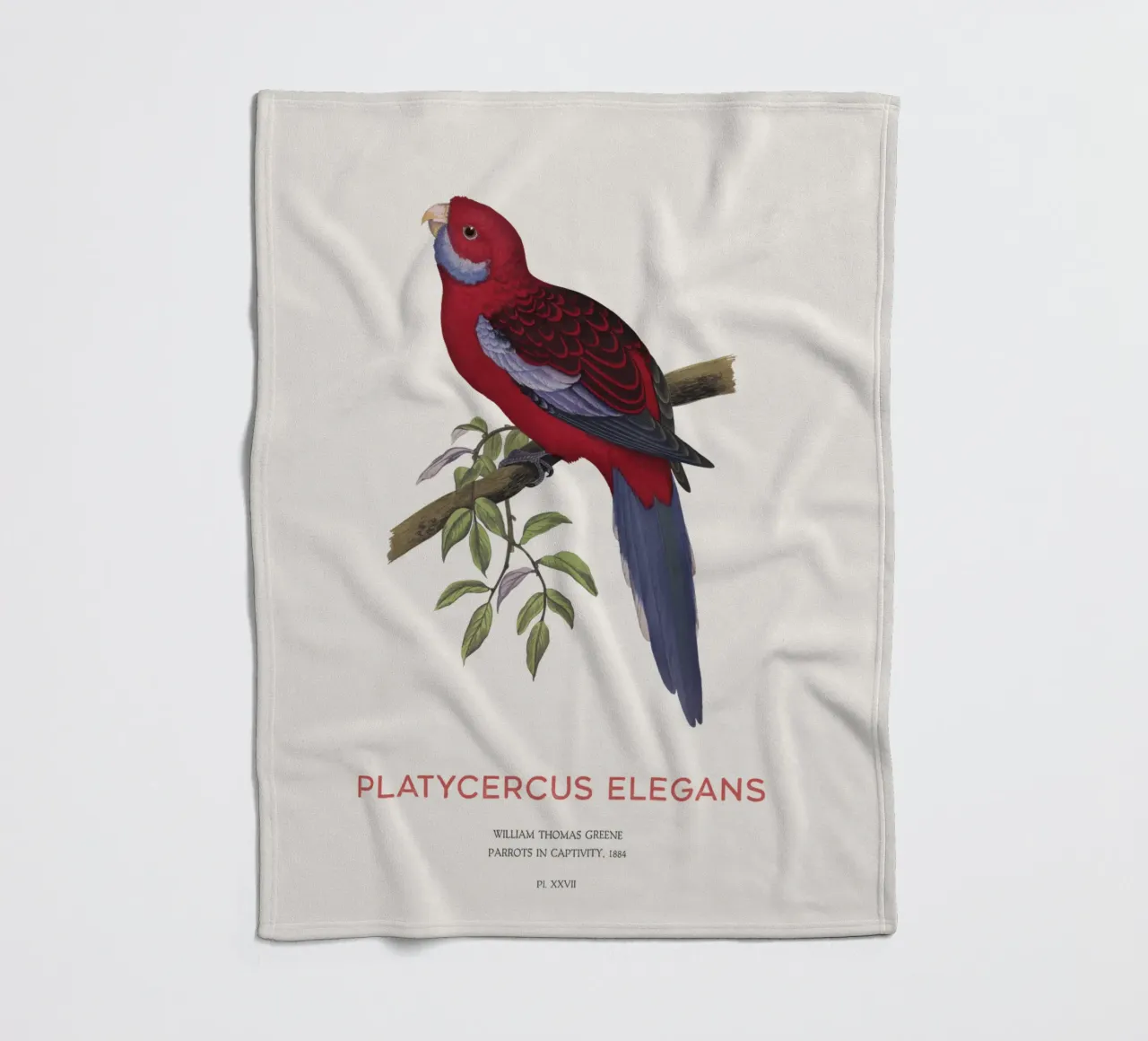 Rosella cremisi o Platycercus elegans coperta in pile da Vintagrafica