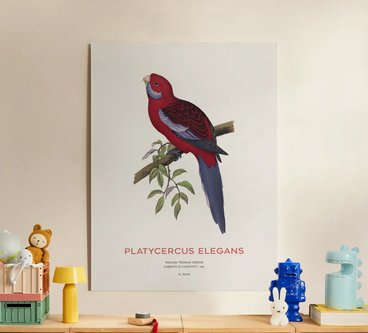Rosella cremisi o Platycercus elegans plexiglass da Vintagrafica