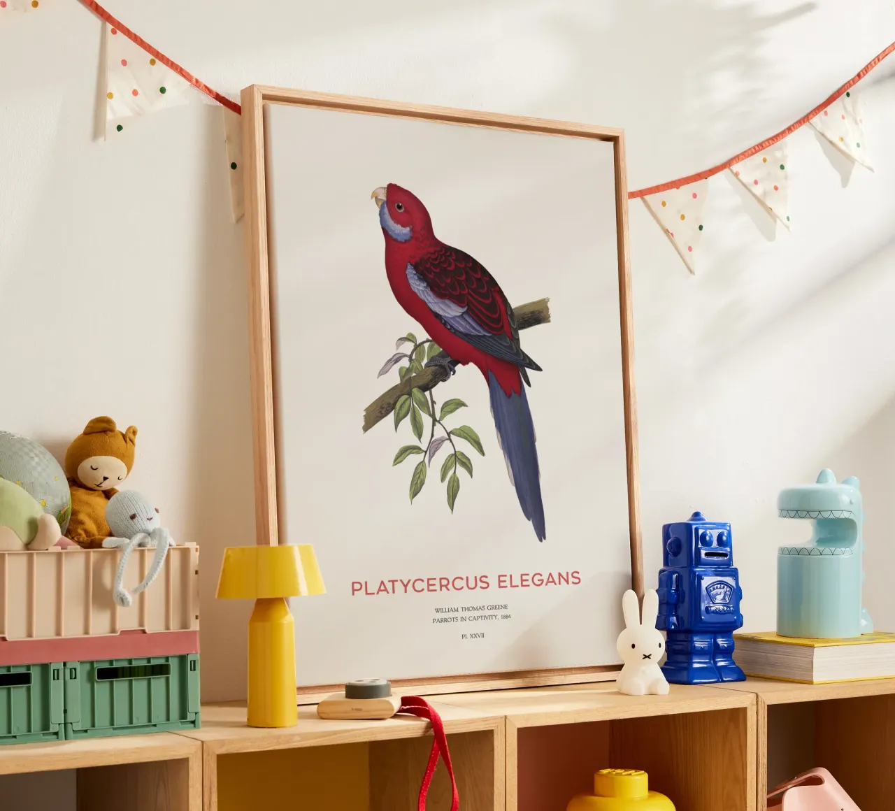 Rosella cremisi o Platycercus elegans tela con Cornice a cassetta da Vintagrafica