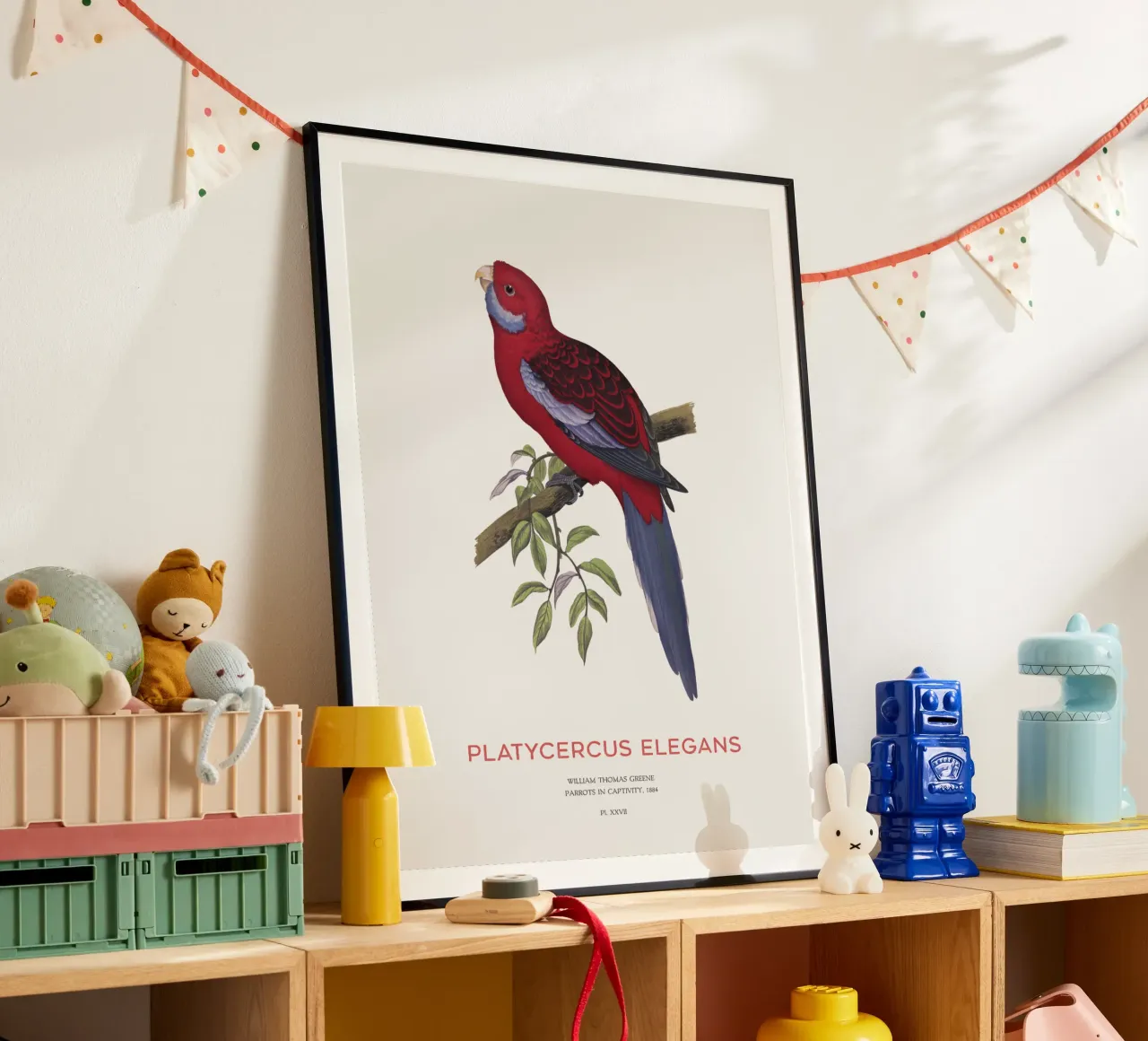 Rosella cremisi o Platycercus elegans poster da Vintagrafica