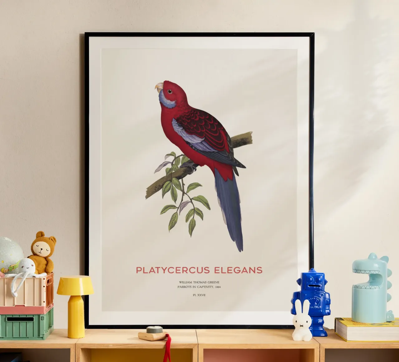 Rosella cremisi o Platycercus elegans poster da Vintagrafica