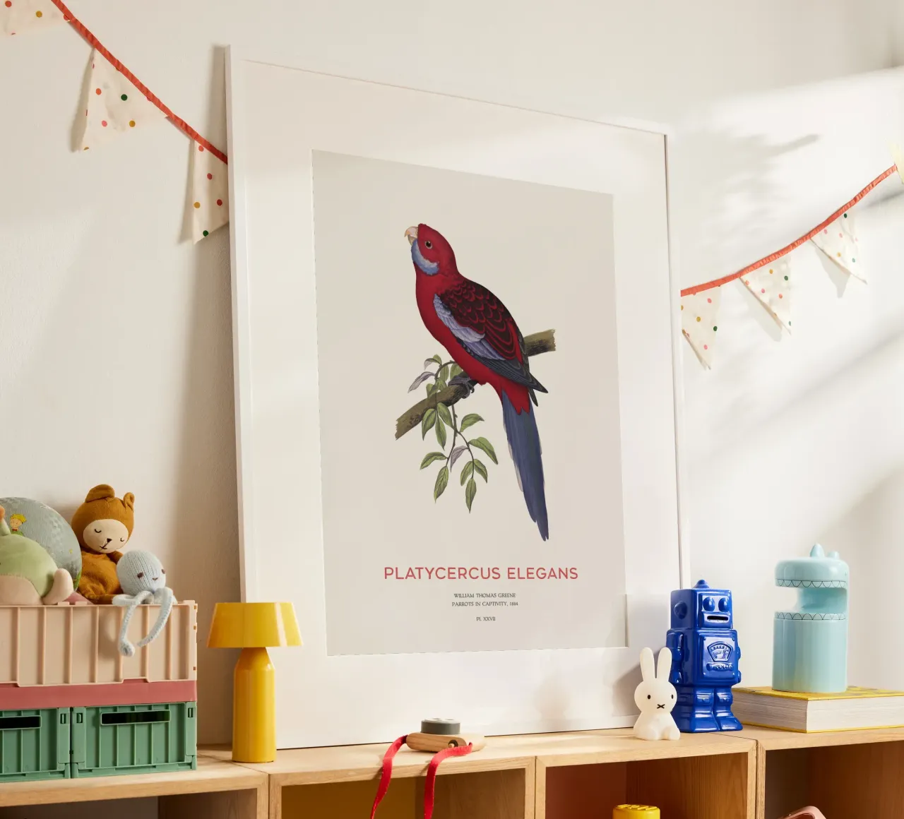 Rosella cremisi o Platycercus elegans poster da Vintagrafica