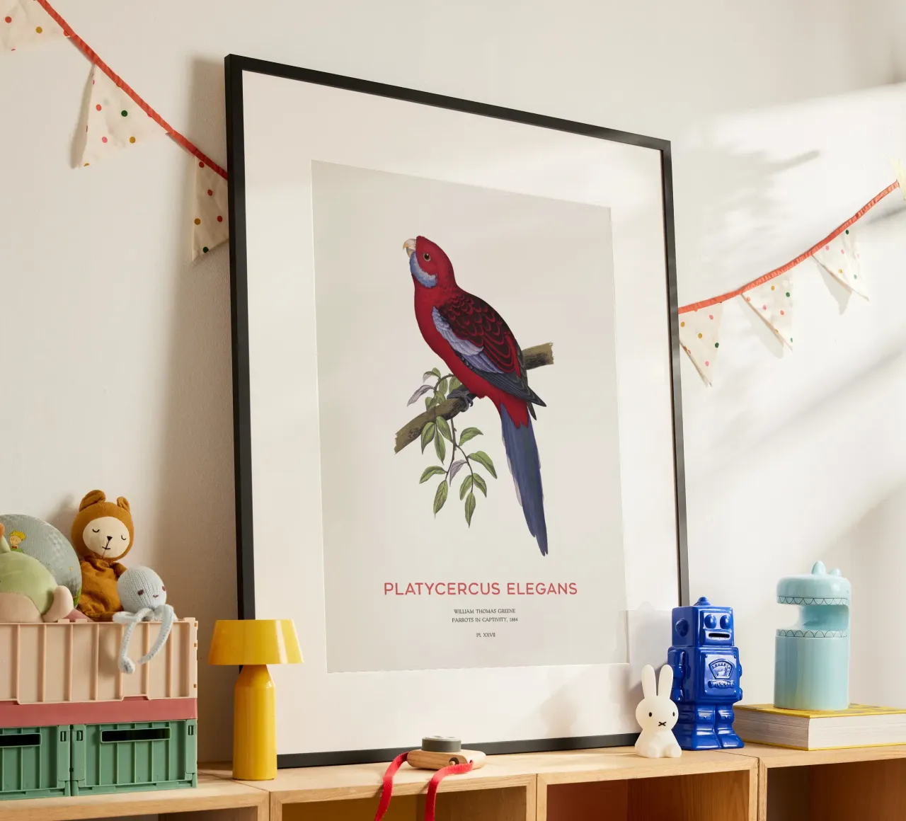 Rosella cremisi o Platycercus elegans poster da Vintagrafica