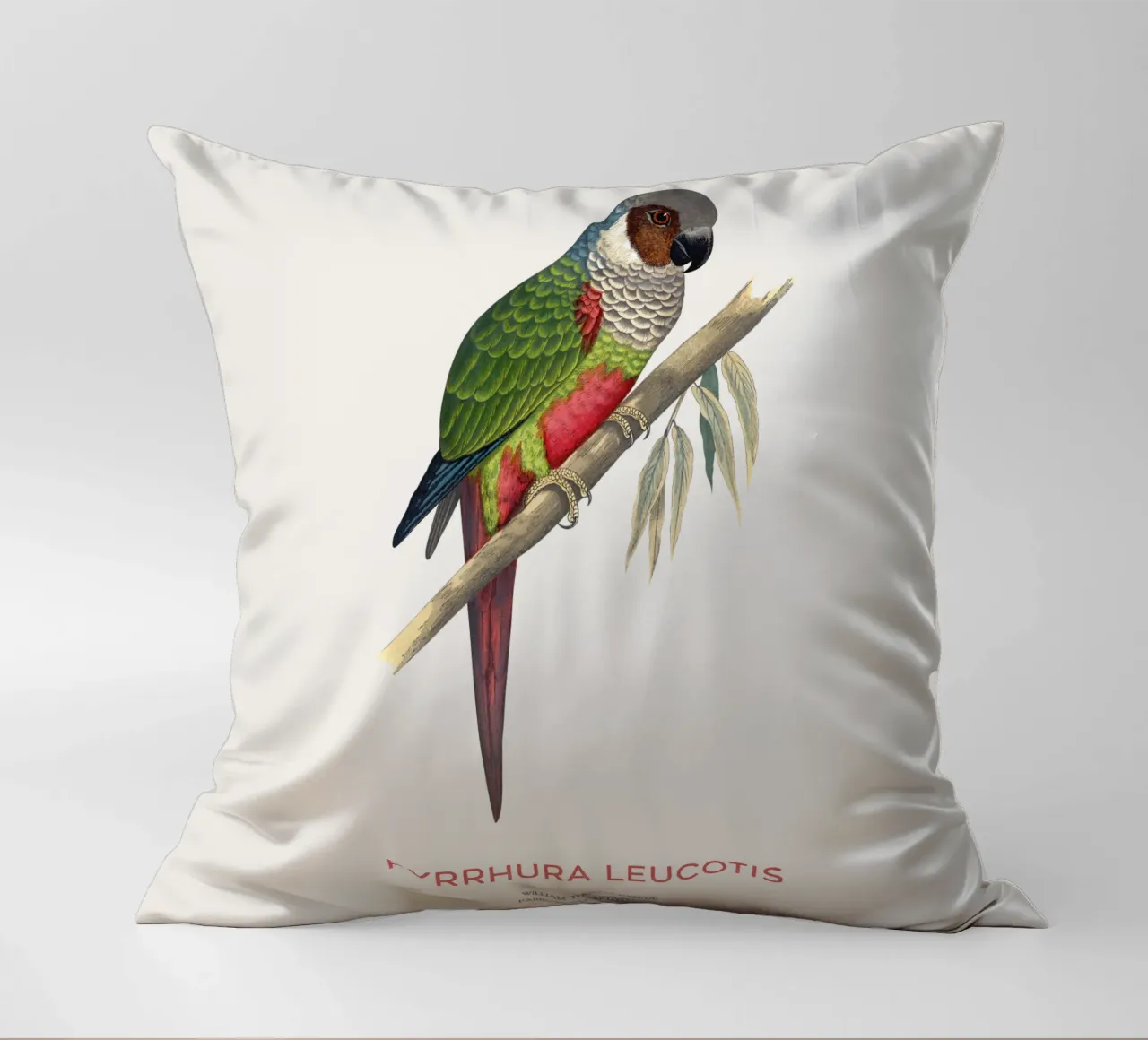 Parrocchetto dalle orecchie bianche o Pyrrhura leucotis cuscino da Vintagrafica