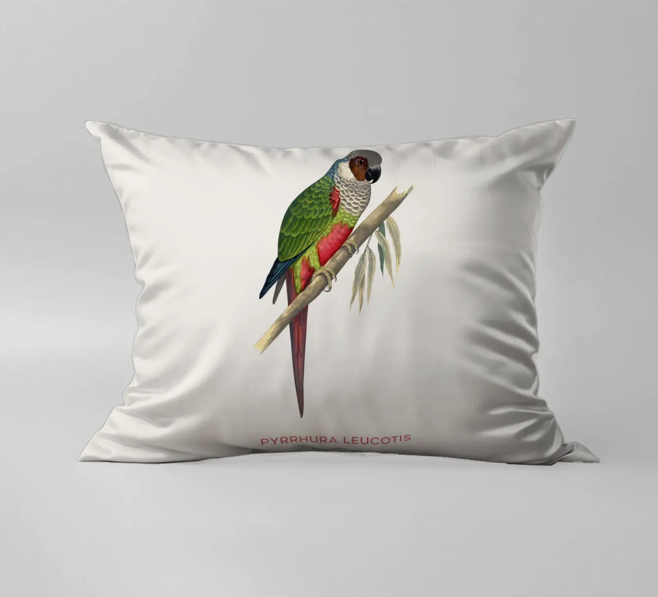 Parrocchetto dalle orecchie bianche o Pyrrhura leucotis cuscino da Vintagrafica
