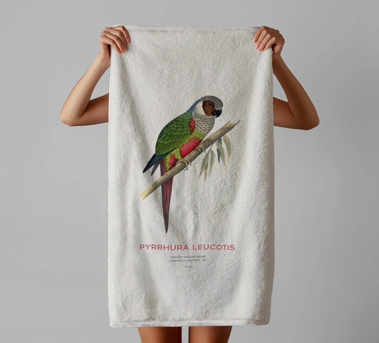 Weißohrsittich oder Pyrrhura leucotis Handtuch von Vintagrafica
