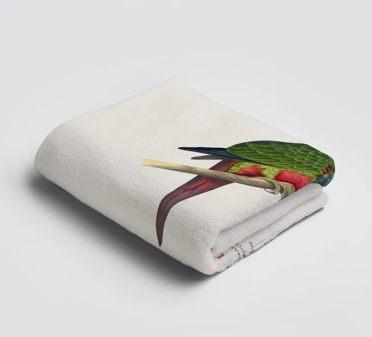Weißohrsittich oder Pyrrhura leucotis Handtuch von Vintagrafica