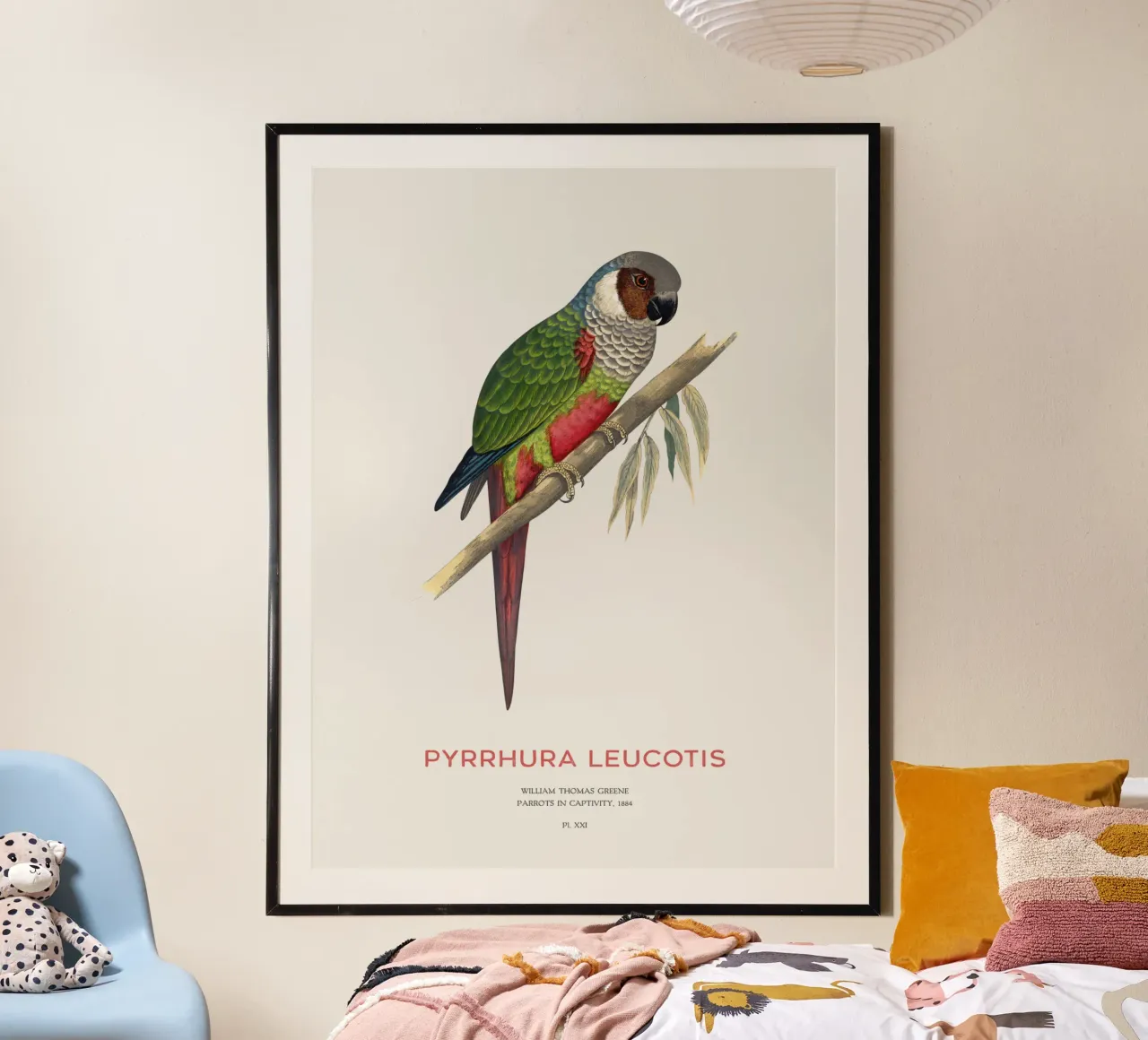 Weißohrsittich oder Pyrrhura leucotis Hahnemühle von Vintagrafica