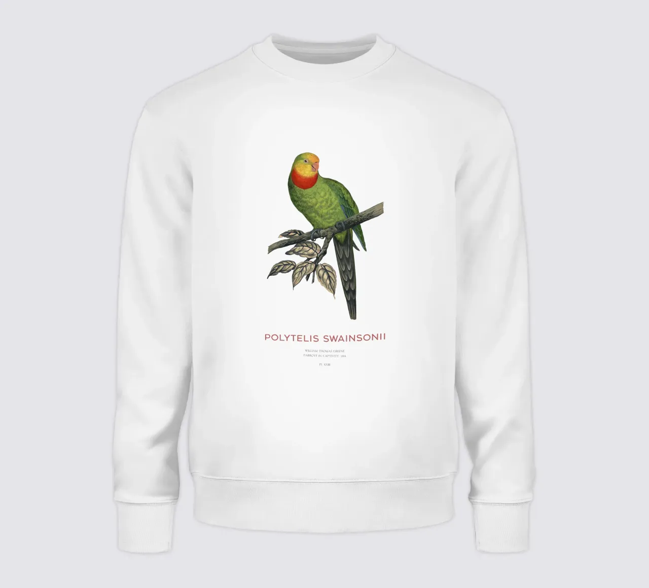 Pappagallo superbo o Polytelis swainsonii felpa da Vintagrafica