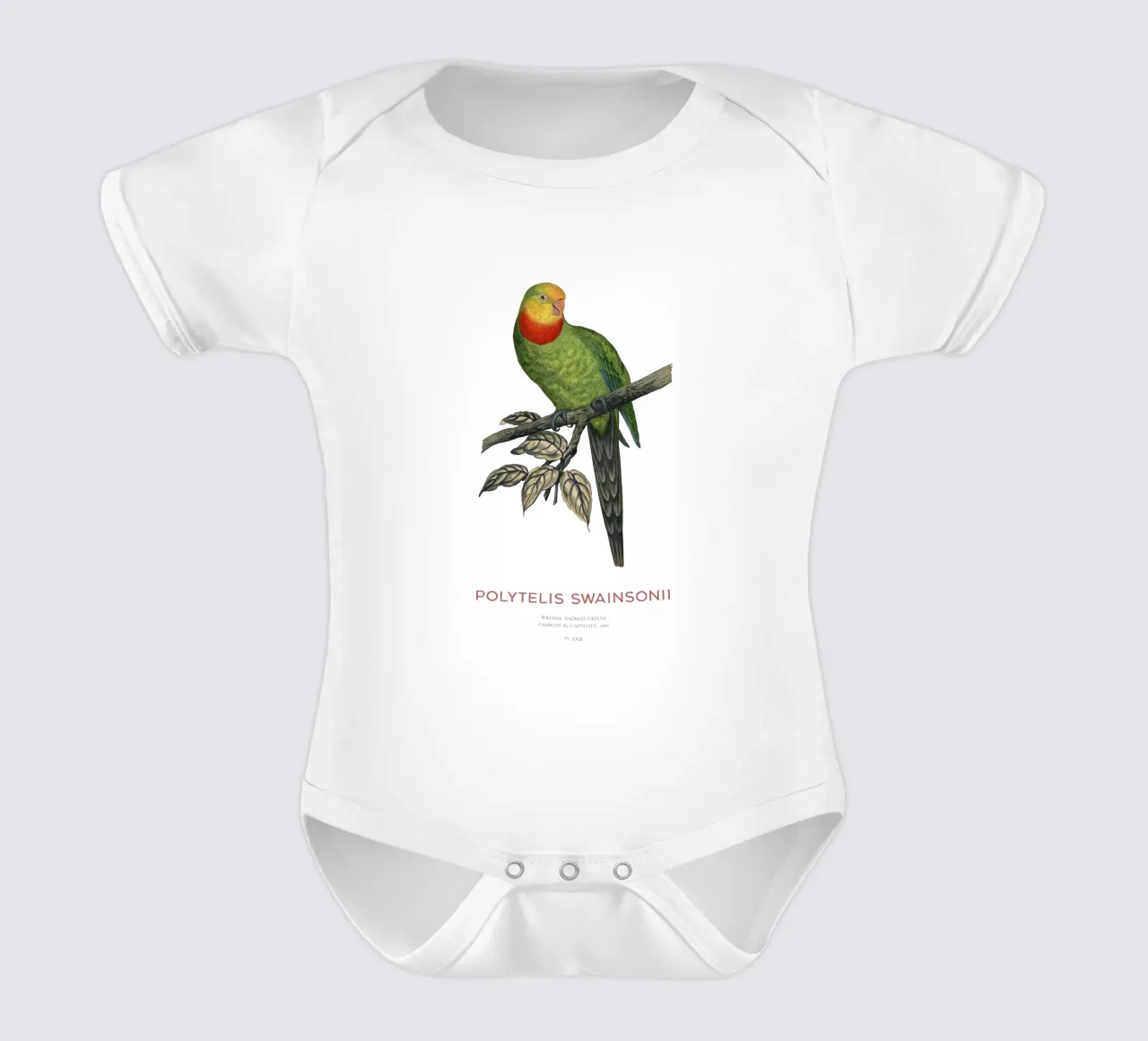 Pappagallo superbo o Polytelis swainsonii body neonato maniche corte da Vintagrafica