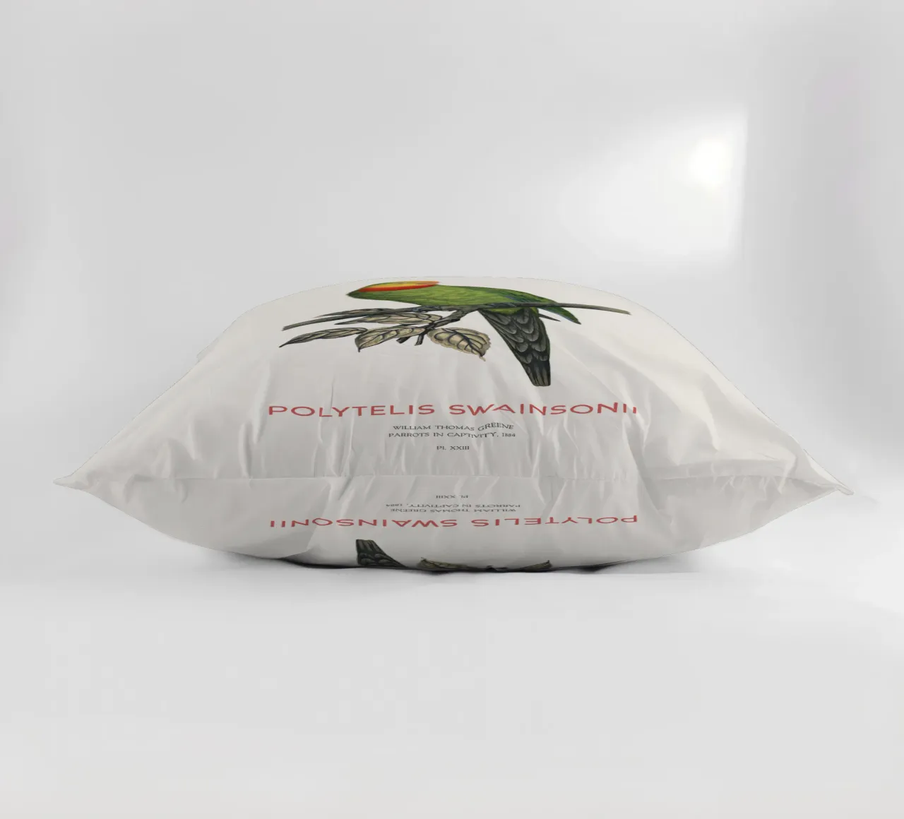 Pappagallo superbo o Polytelis swainsonii cuscino da Vintagrafica