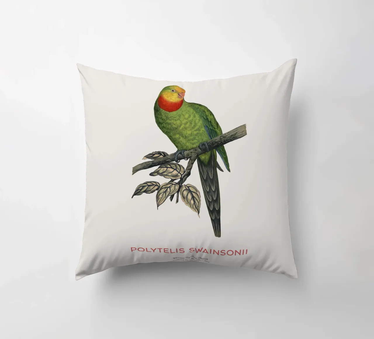 Pappagallo superbo o Polytelis swainsonii cuscino da Vintagrafica