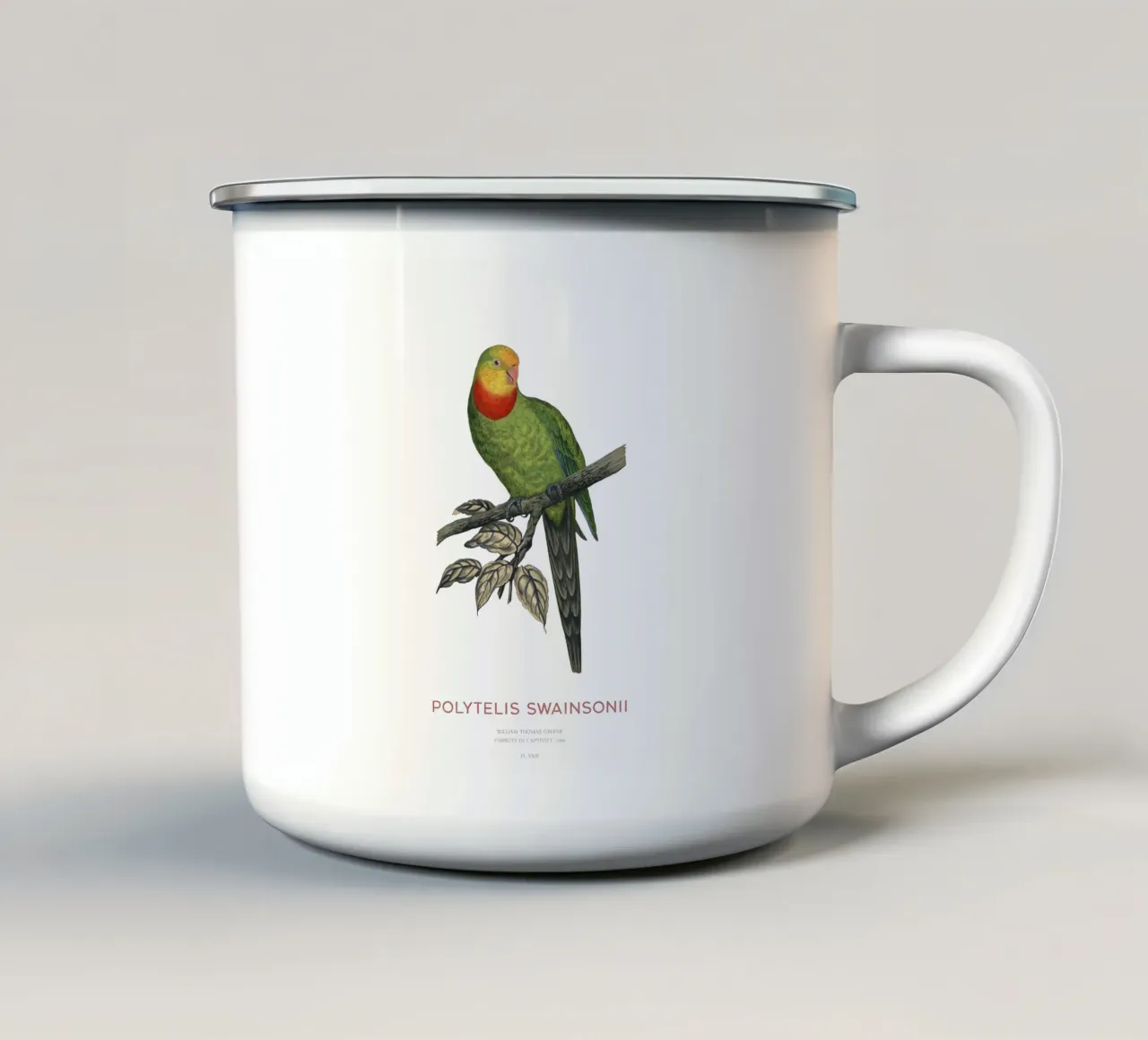 Pappagallo superbo o Polytelis swainsonii tazza in smalto da Vintagrafica