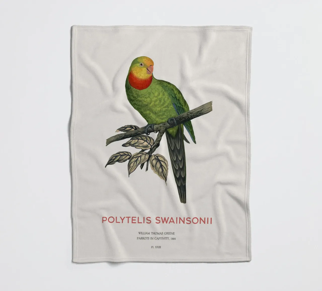Pappagallo superbo o Polytelis swainsonii coperta in pile da Vintagrafica