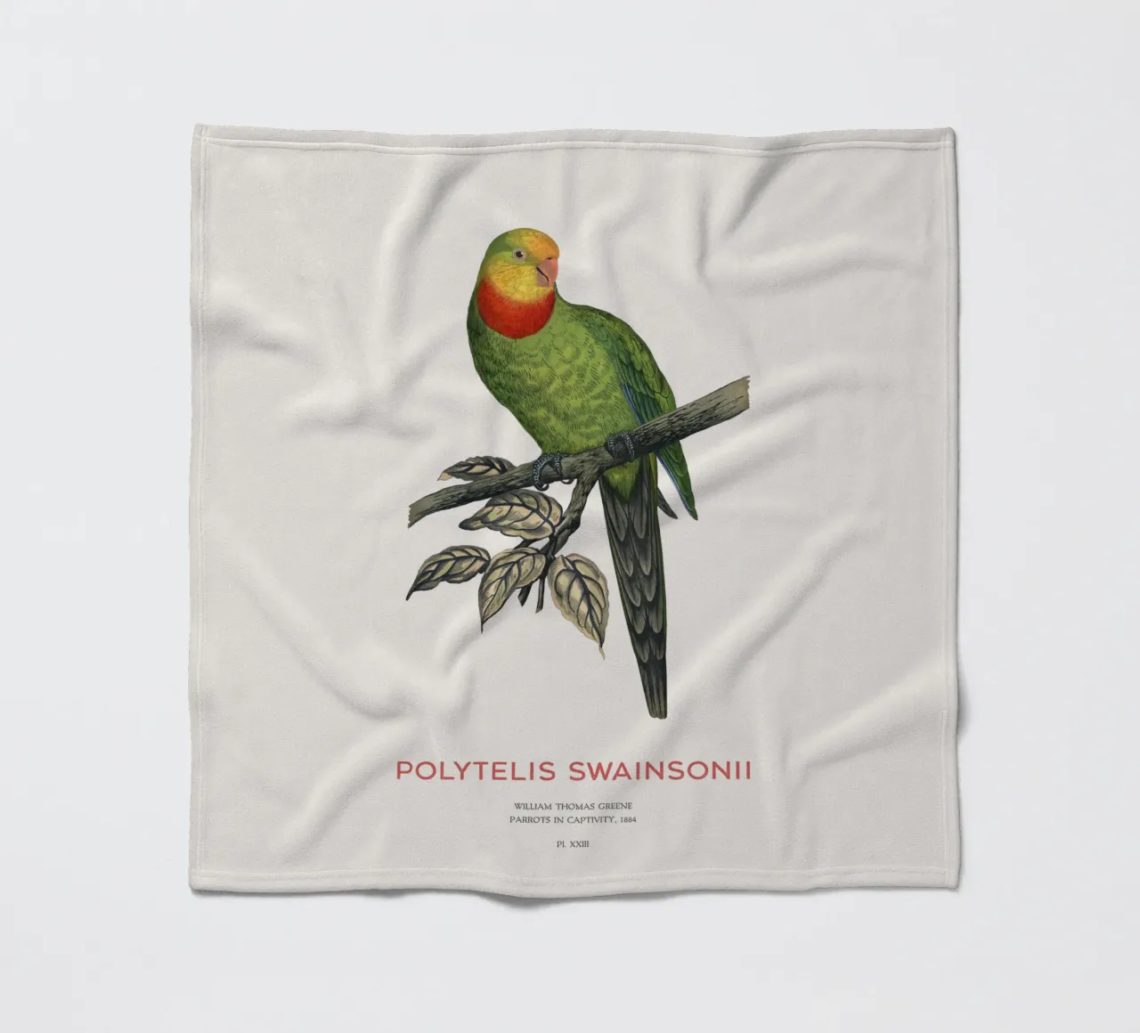 Pappagallo superbo o Polytelis swainsonii coperta in pile da Vintagrafica