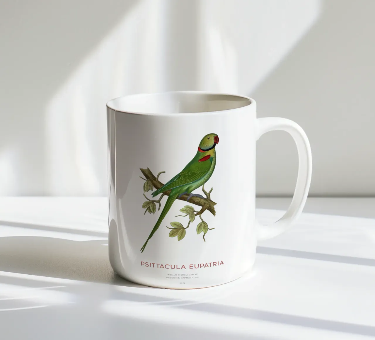Alexandriner-Sittich oder Psittacula eupatria Keramik Tasse von Vintagrafica