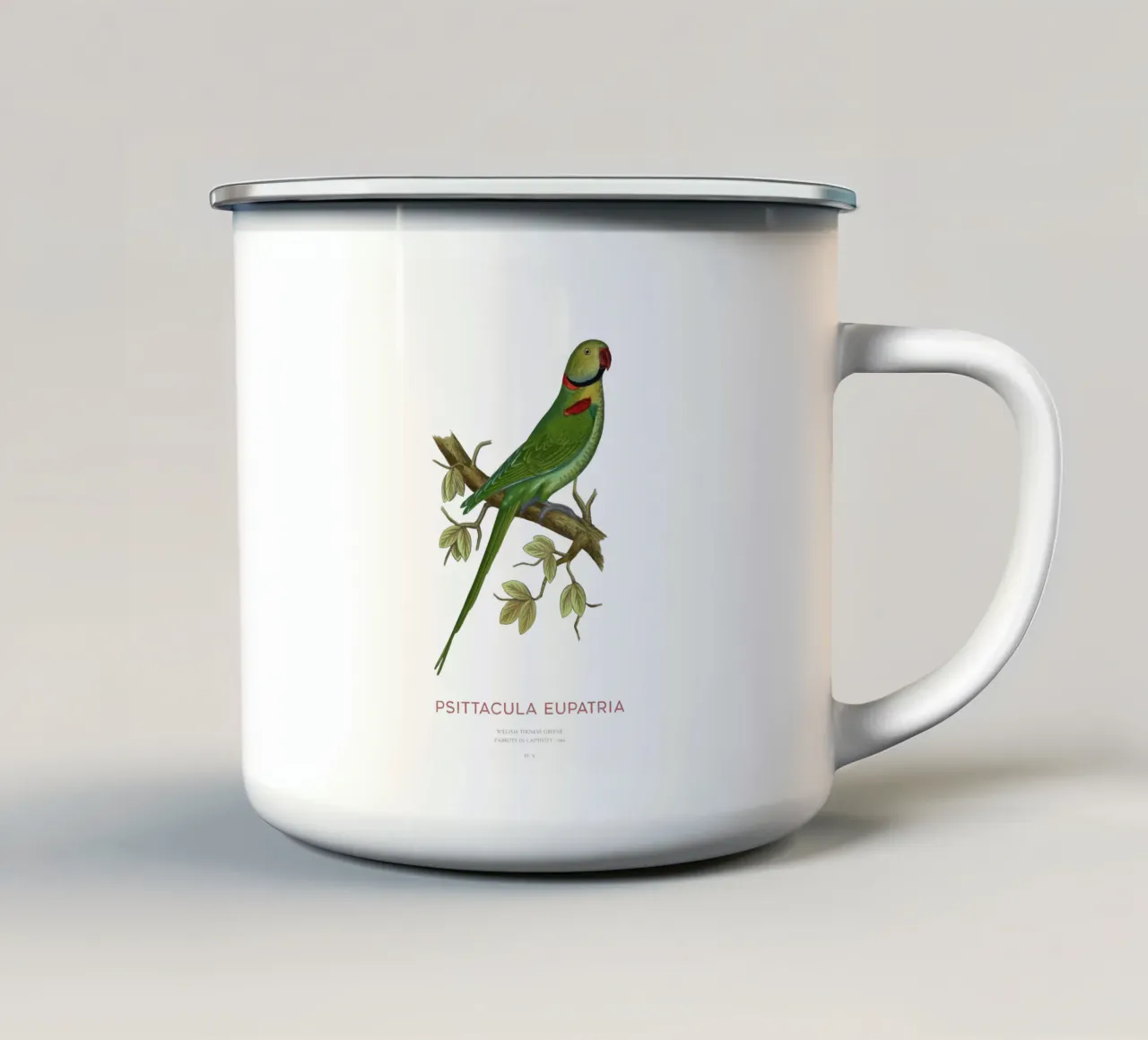 Alexandriner-Sittich oder Psittacula eupatria Emaille Tasse von Vintagrafica