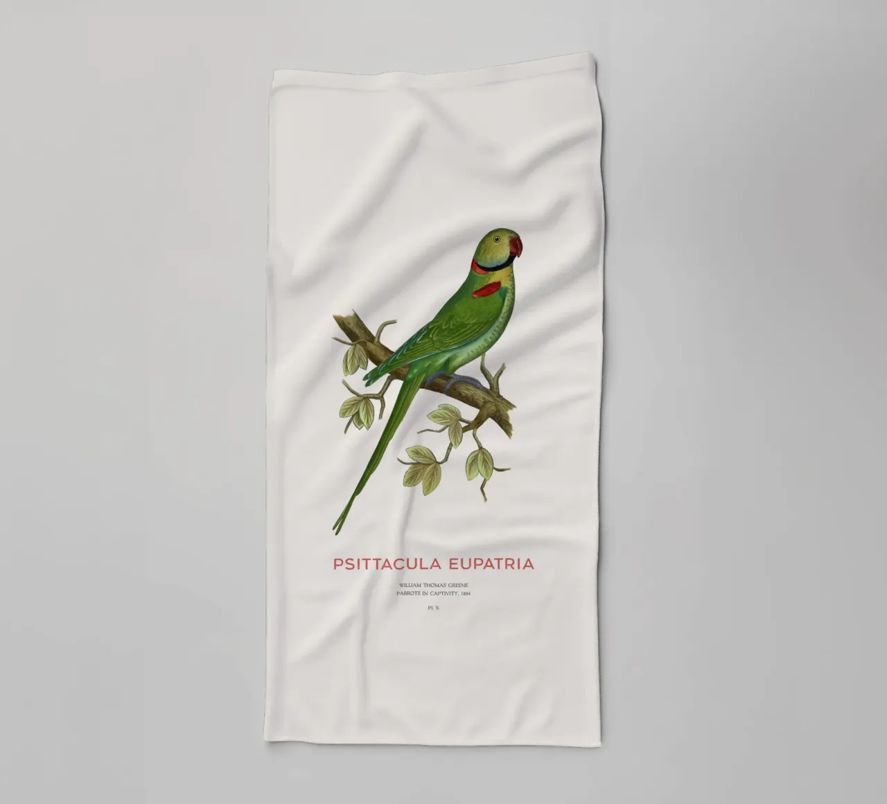 Alexandriner-Sittich oder Psittacula eupatria Handtuch von Vintagrafica