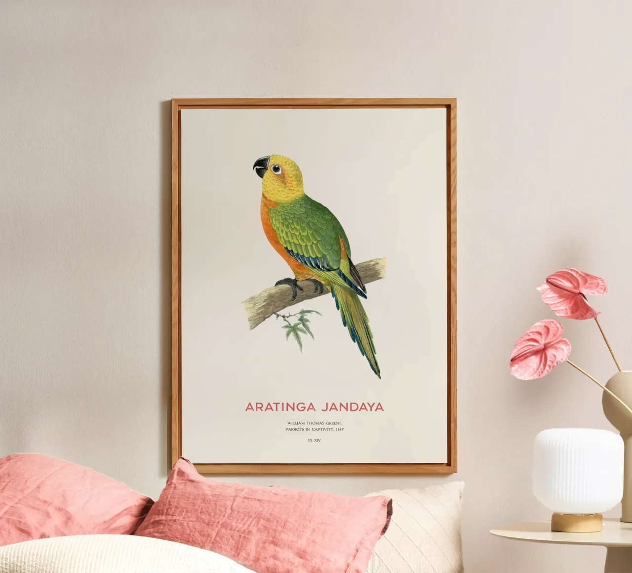 Parrocchetto Jandaya o Aratinga jandaya alluminio dibond da Vintagrafica