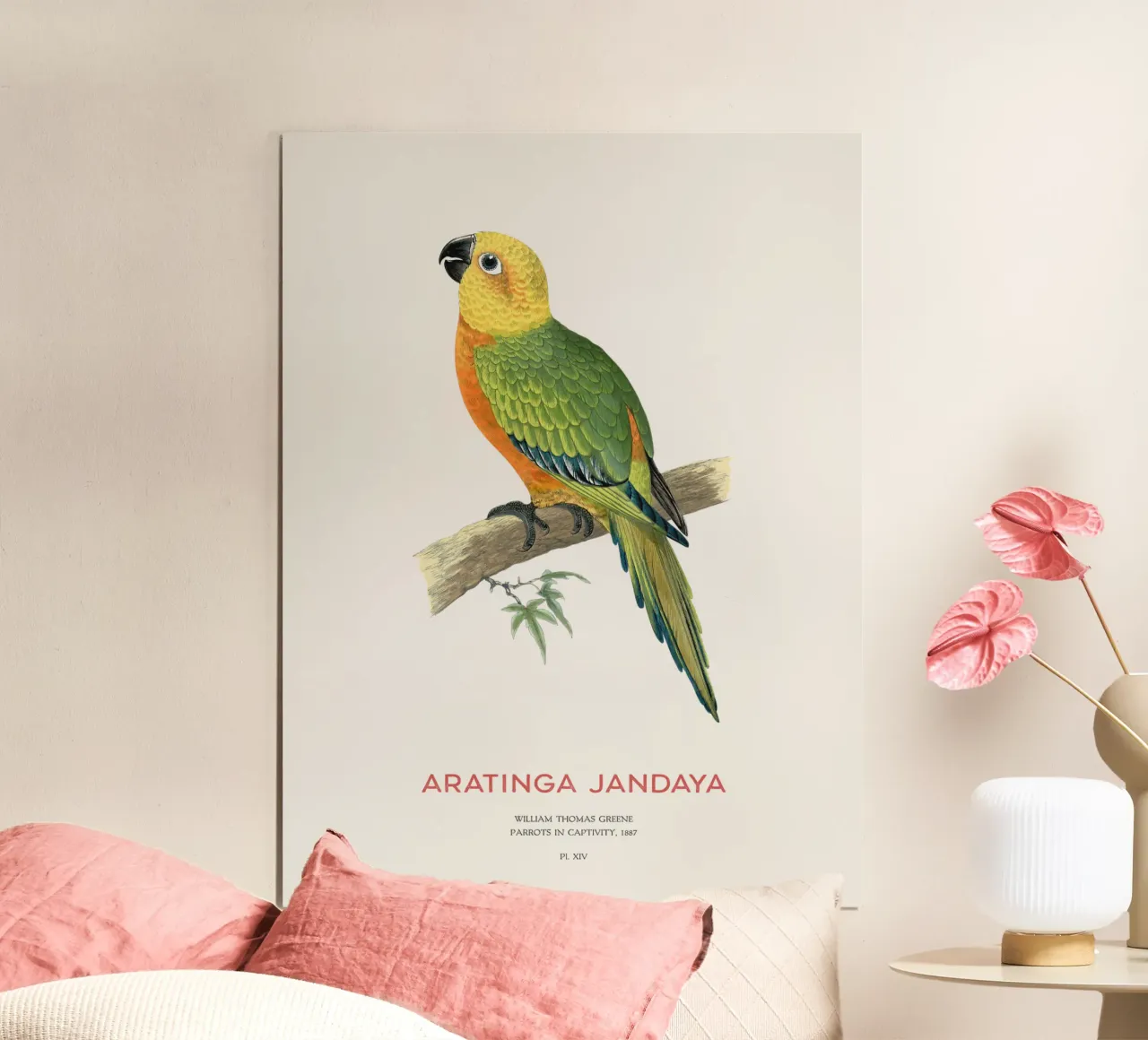 Parrocchetto Jandaya o Aratinga jandaya poster con telaio in alluminio da Vintagrafica