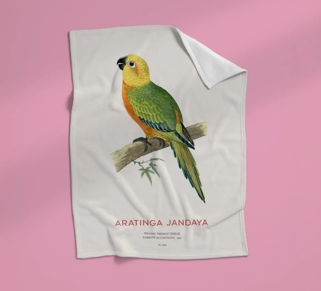 Jandaya-Sittich oder Aratinga jandaya Fleecedecke von Vintagrafica