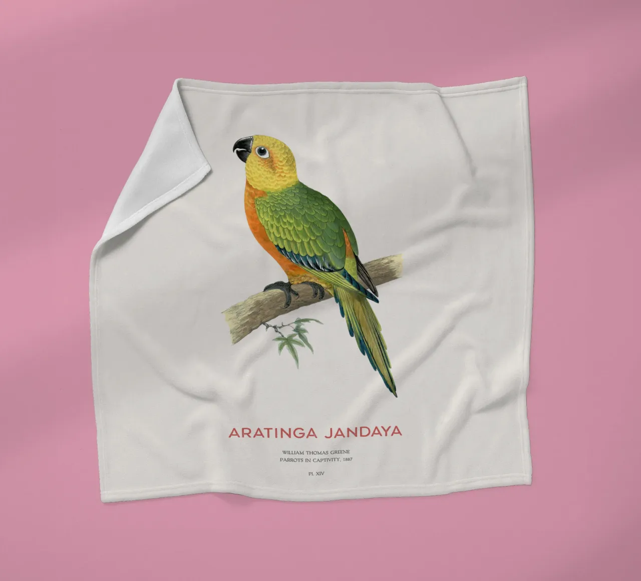Jandaya-Sittich oder Aratinga jandaya Fleecedecke von Vintagrafica