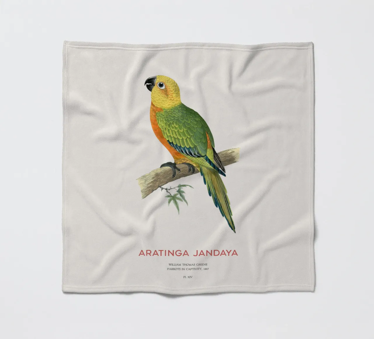 Jandaya-Sittich oder Aratinga jandaya Fleecedecke von Vintagrafica