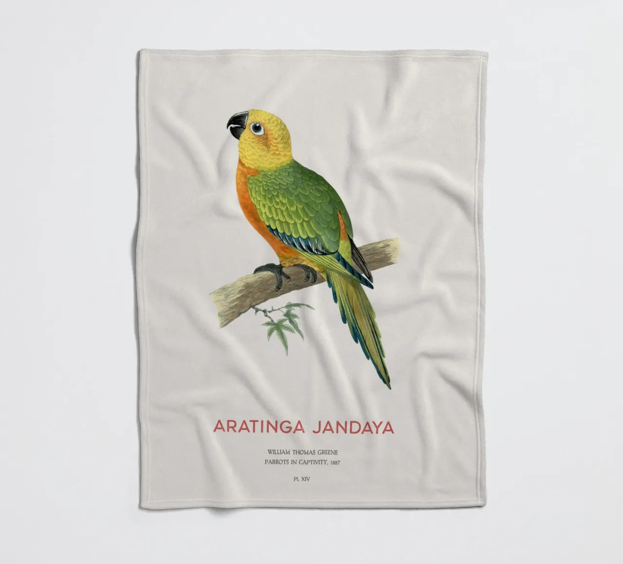 Jandaya-Sittich oder Aratinga jandaya Fleecedecke von Vintagrafica