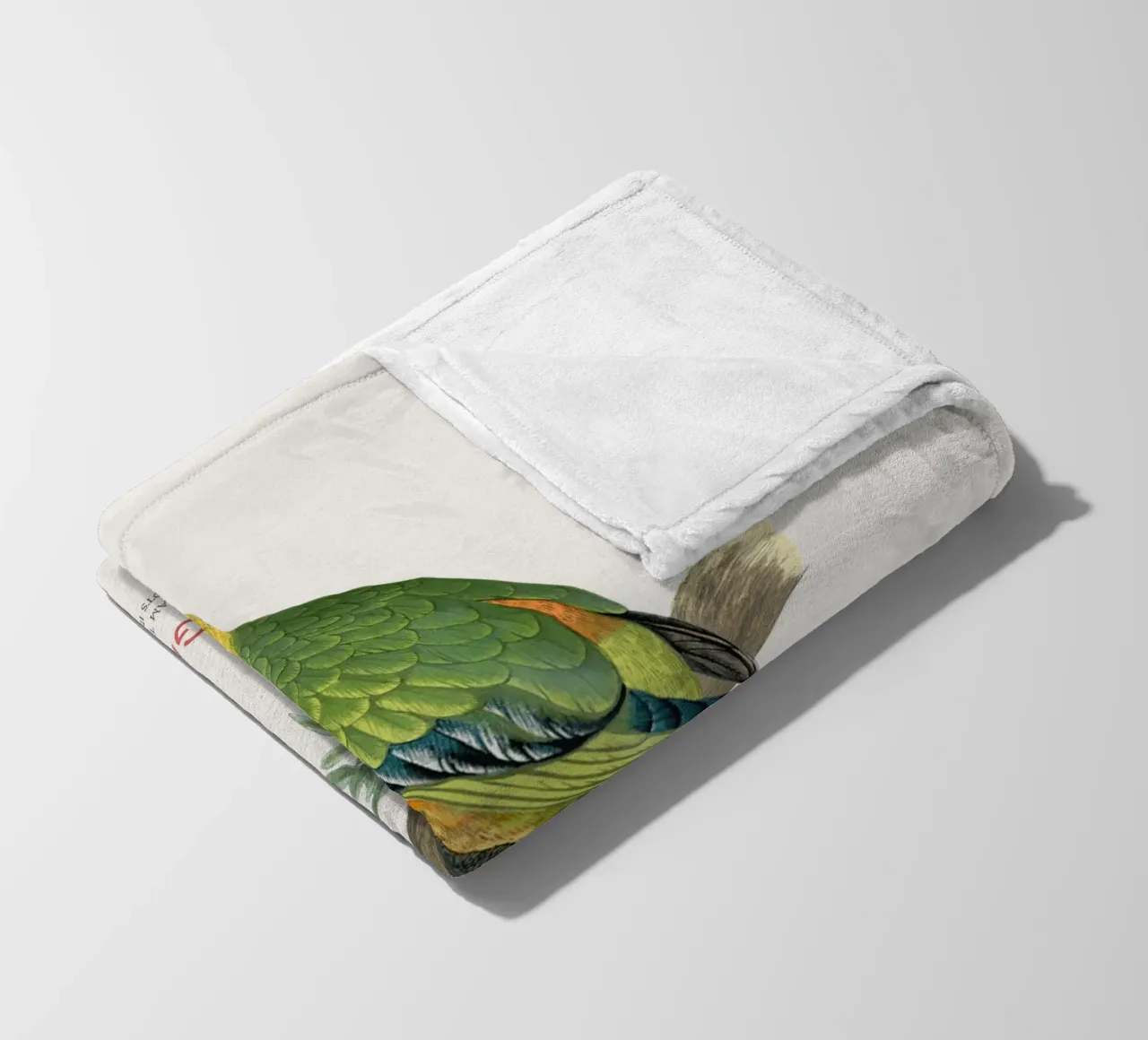 Jandaya-Sittich oder Aratinga jandaya Fleecedecke von Vintagrafica