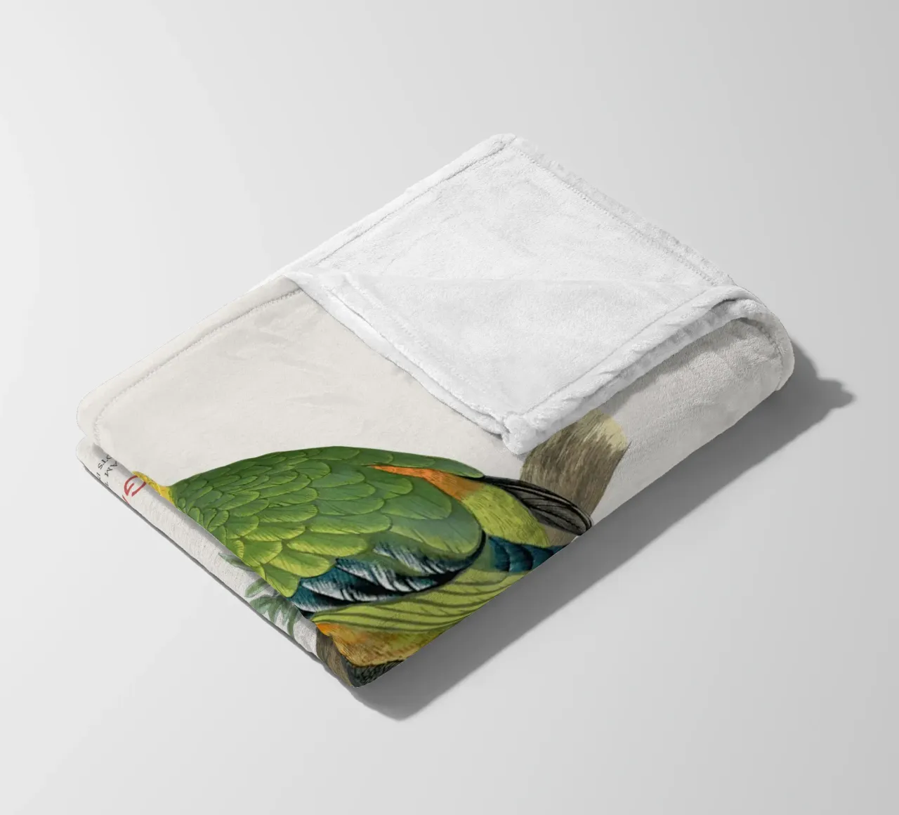 Jandaya-Sittich oder Aratinga jandaya Fleecedecke von Vintagrafica