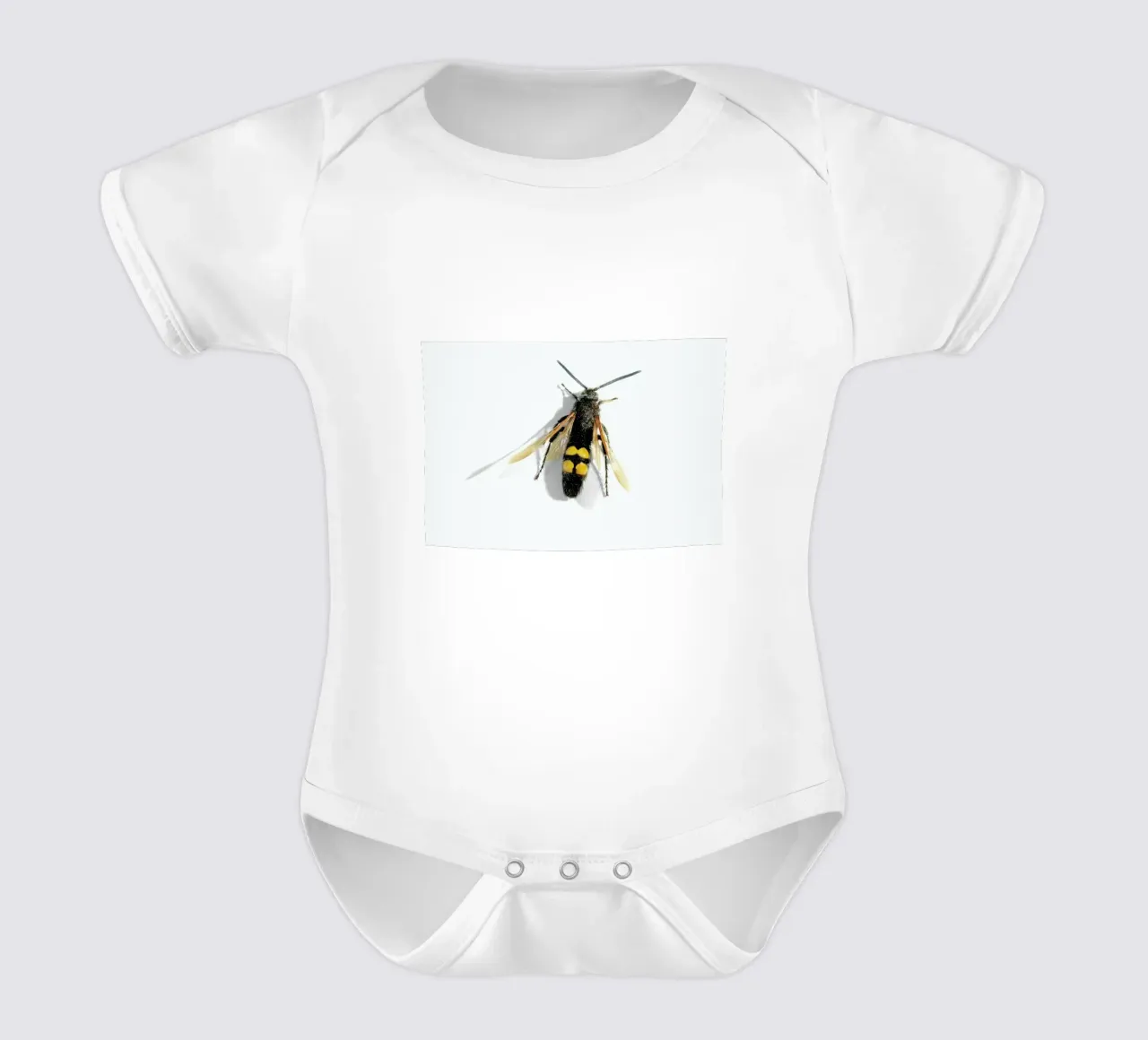 Animalium 1 short-sleeve baby romper by Günther Egger