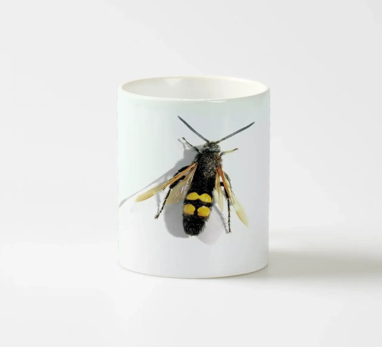 Animalium 1 tazza in ceramica da Günther Egger