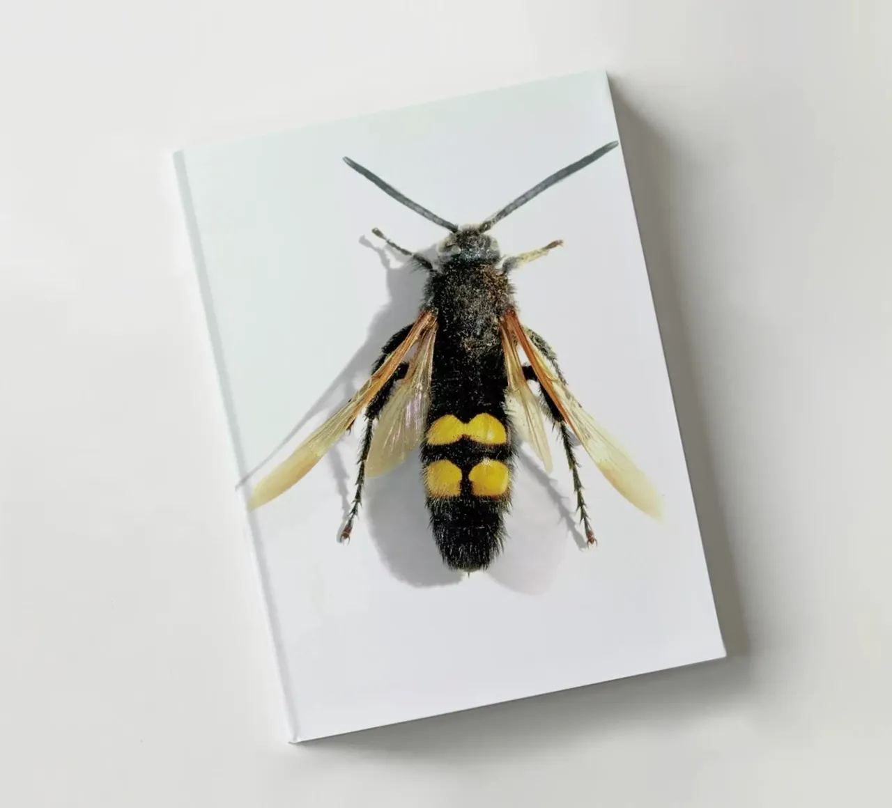 Animalium 1 notebook by Günther Egger