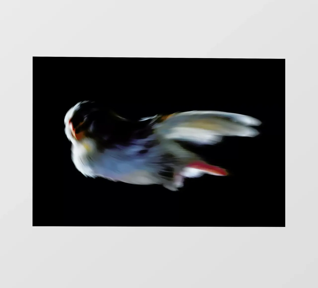 Birds Everywhere 15 telo in pvc da Günther Egger