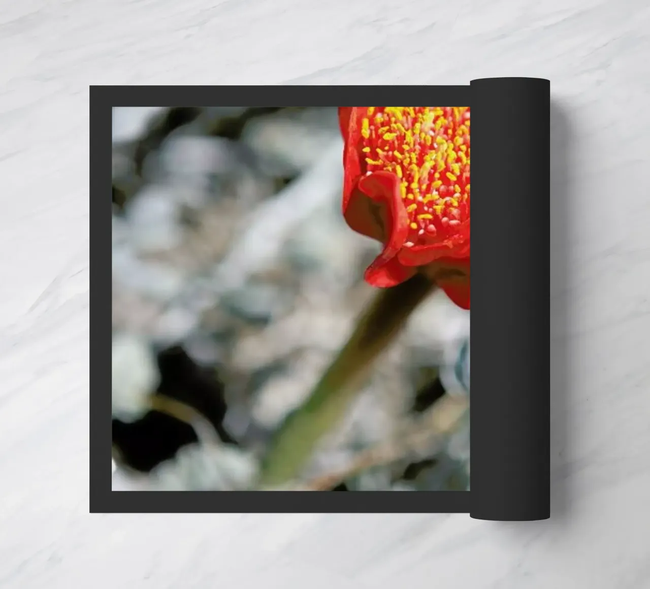 Mountain Flower zerbino da Shot By Clint