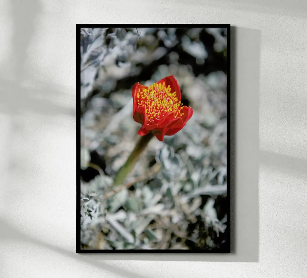 Mountain Flower poster con telaio in alluminio da Shot By Clint
