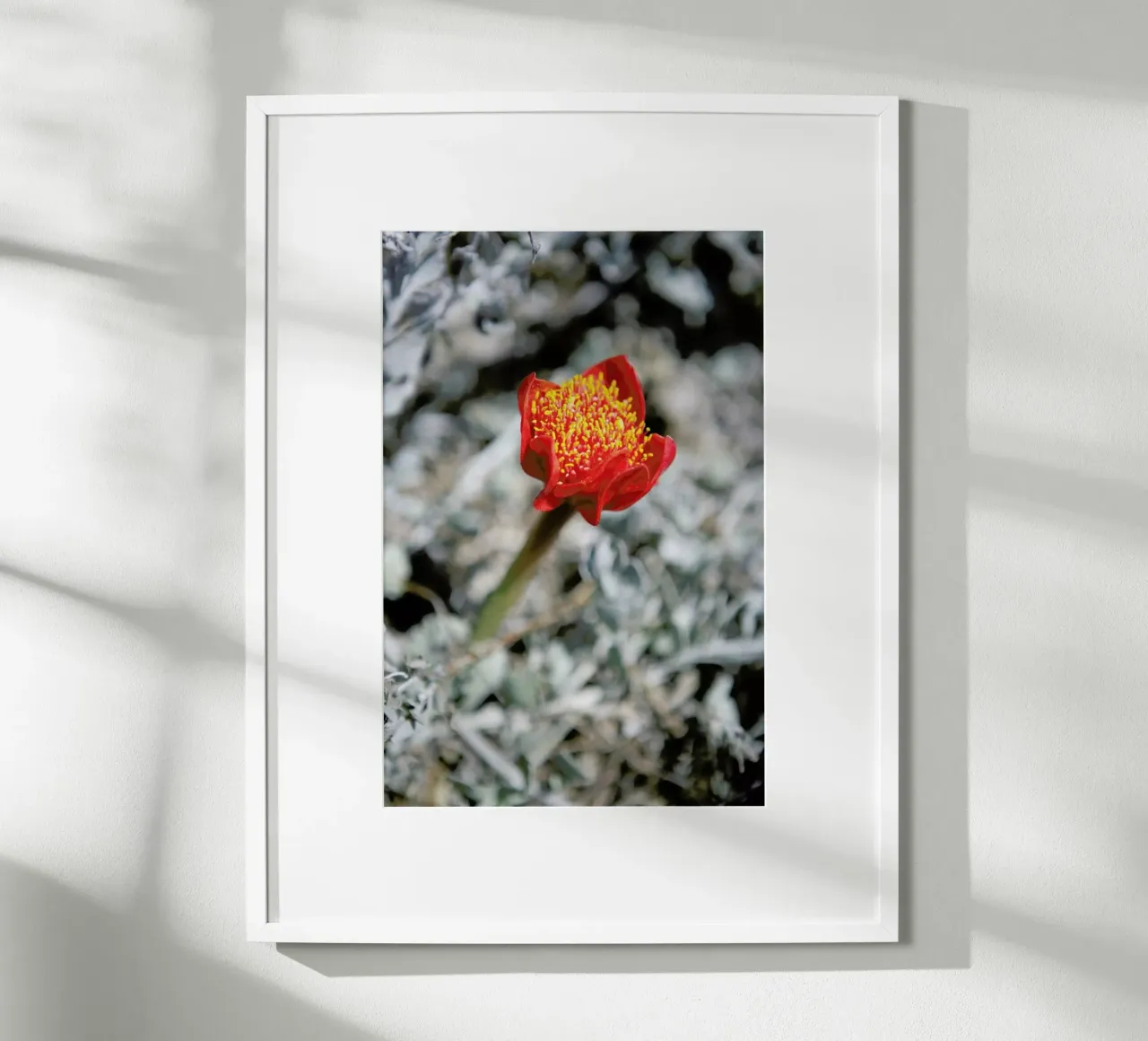 Mountain Flower poster con telaio in alluminio da Shot By Clint
