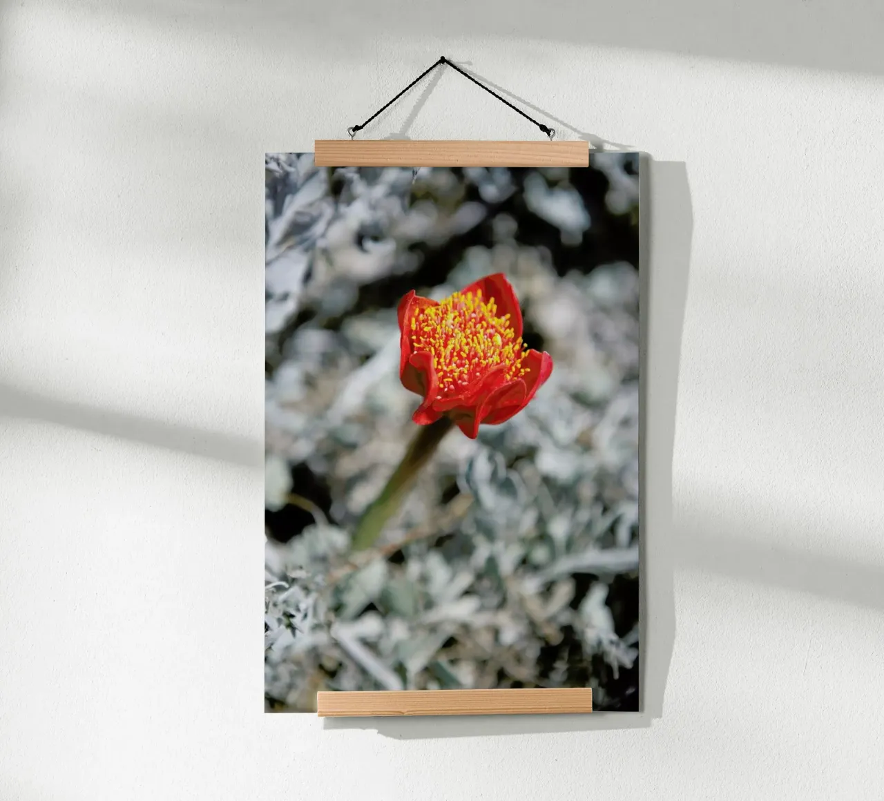 Mountain Flower poster con telaio in alluminio da Shot By Clint